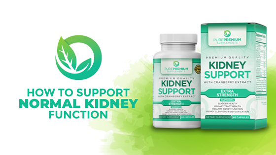 How to Support Normal Kidney Function